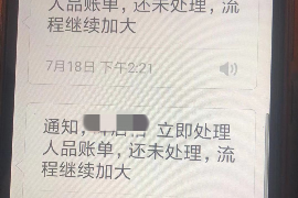 上林企业清欠服务